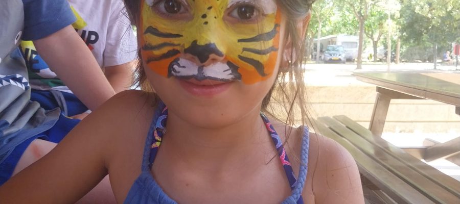 activitat pinta cara (3)