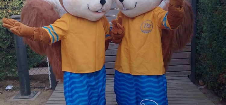 mascota pinu pas nou9