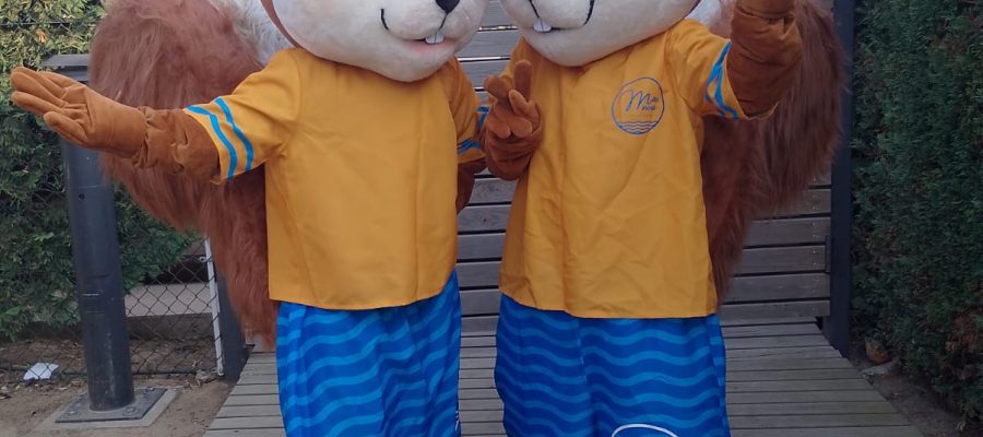 mascota pinu pas nou9