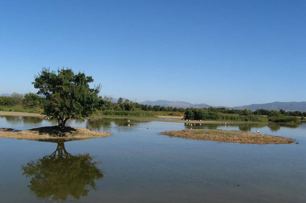 Parc Natural dels Aiguamolls de l’Empordà