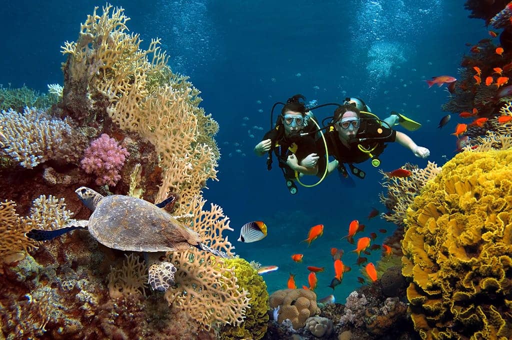Submarinisme a les illes Medes